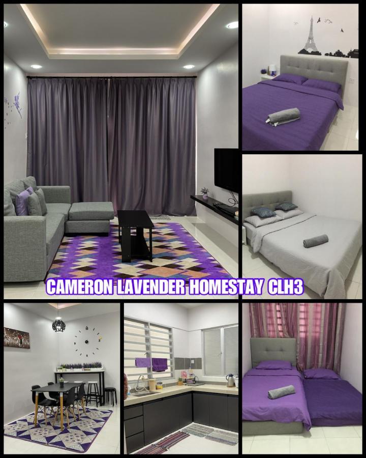 Cameron Lavender Homestay 3 Tanah Rata Exterior photo